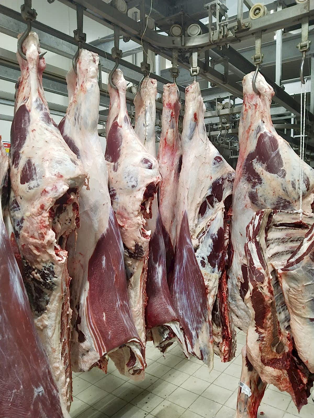 YÜCEL ET SUMQAYIT DE ET KASAP